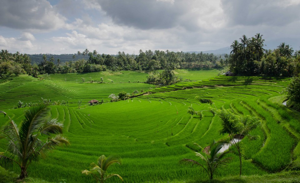 Indonesia